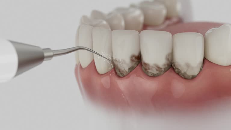 Reliable Dental contractor in Gages Lake, IL by Dentist Open Now